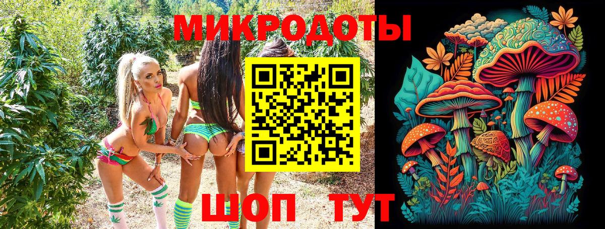 Павловский Посад  Псилоцибиновые грибы мухоморы  Вход с VPN 