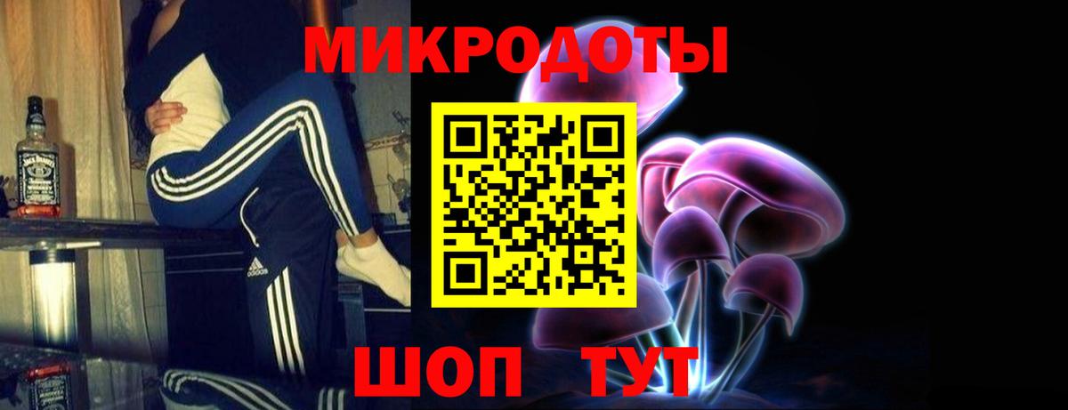 Псилоцибиновые грибы мицелий Павловский Посад